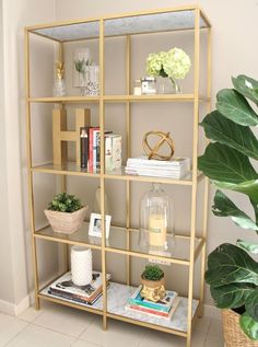 a shelf filled with books and plants next to a potted plant on top of a table