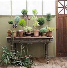 a table with potted plants on top of it