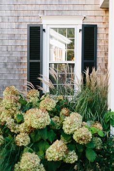 a house with black shutters and green plants