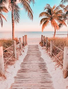 a wooden path leading to the beach with palm trees