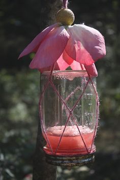 a pink bird feeder hanging from a tree