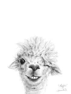 a black and white drawing of an alpaca