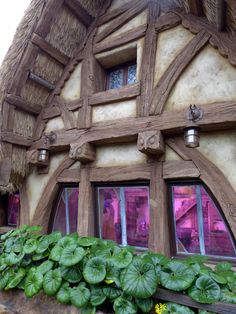 a close up of a building with plants growing in the window sill and windows