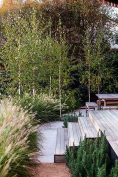 a wooden deck surrounded by tall grass and trees in the back yard, with benches on either side