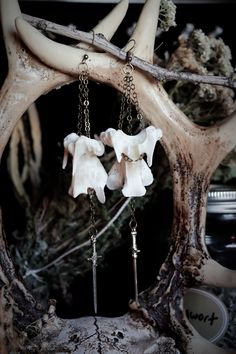 two white flowers hanging from chains on a tree branch in front of an antler