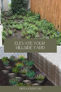 an image of a garden with plants growing in it and the words, elevate your hillside yard