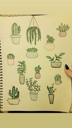 a drawing of potted plants on a sheet of paper, with a person's hand holding a pen