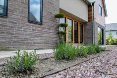 a house that has some plants in front of it