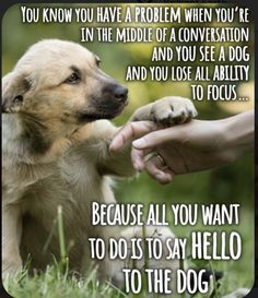 a dog is being petted by someone's hand with the caption you know you have a problem when you're in the middle of conversation