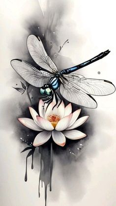 a dragonfly sitting on top of a white flower next to a waterlily