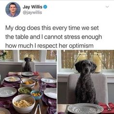 a dog sitting at a table with plates and bowls of food in front of him