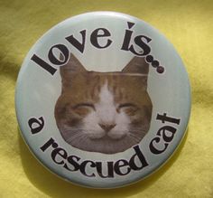 a button with a cat's face and the words love is rescued cat on it