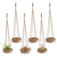 PRICES MAY VARY. [Rustic Decorations] Our hanging air plant holders are made using the burnt wood process, resulting in unique colors and textures on the surface. They blend well into the surroundings and every visitor to your home will be impressed by these cute decorations. Tips: This product does not contain any plants. [Reliable & Durable] These air plant hangers made from quality wood are thick and moisture resistant. Four jute ropes are so strong that you don't have to worry about them bre Air Fern, Air Plant Hanger, Succulent Display, Burnt Wood, Hanging Plant Holder, Mini Cactus, Support Plante, Small Succulents, Air Plant Holder