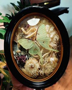 a person holding up a clock with moths and flowers on it in front of a plant