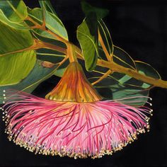 a painting of a pink flower with green leaves