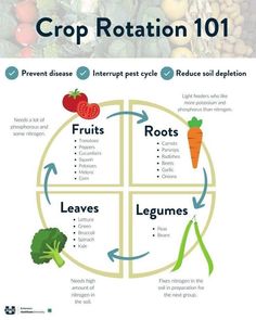 a poster with the words crop rotation 101 in front of vegetables and fruits on it