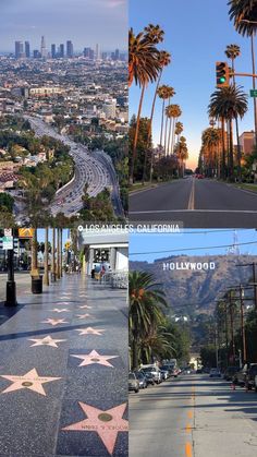 the hollywood walk of fame star is shown with palm trees and buildings in the background