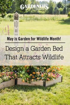 a garden bed with flowers in it and the words may is garden for wildlife month design a garden bed that attracts wildlife