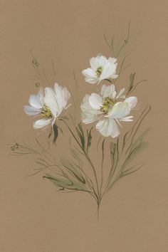 three white flowers on a brown background