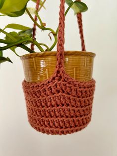 a potted plant hanging from a wooden basket