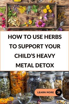 Discover how to use herbs to support your child's heavy metal detox. Learn about dandelion root, milk thistle, garlic, ginger, turmeric, and aloe vera - powerful natural remedies to fight off toxins in the body. Take action now to protect your child's health! #HerbalRemedies #DetoxForKids #HeavyMetalDetox #NaturalHealthTips