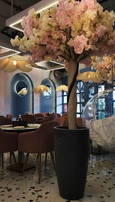 Cafe | Cafe Design | Cafe Aesthetic  | Cafe Design | Instagram Story Ideas | Korean Cafe Decor Cafe Ambience Ideas, Cafe Ambience Aesthetic, Zoca Cafe, Korean Vibes Aesthetic, Aesthetic Cafe Design, Snaps Streaks, Nutella Shake, Cafe Ambience, Royal Enfield Wallpapers