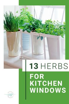 herbs for kitchen windows with the title'13 herbs for kitchen windows'in front of them