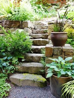 a garden with stone steps and plants