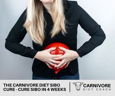 The Carnivore Diet SIBO Cure - Cure SIBO in 4 Weeks - The Carnivore Diet Coach Lactobacillus Gasseri, The Carnivore Diet, Prebiotic Foods, Probiotic Yogurt, Lactobacillus Reuteri, Small Intestine Bacterial Overgrowth, Regular Bowel Movements, Chicory Root, Carnivore Diet