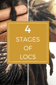 Stages Of Locs, Starter Dreadlocks, Loc Care, Megan Good, Leda Muir, Locs Journey, Sister Locks, Sister Locs