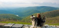 a woman sitting on top of a stone wall with two dogs looking at the mountains