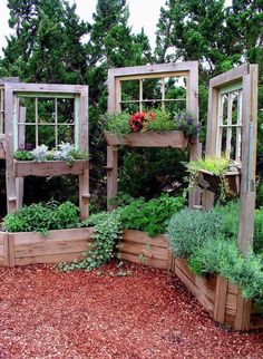 several wooden planters with plants growing in them