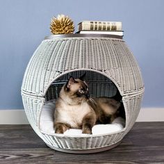 a cat is sitting in its bed on the floor