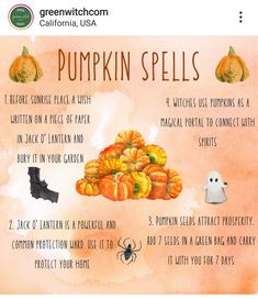 Pumpkin Seeds Magical Properties, Pumpkin Magical Properties, Prosperity Magick, Samhain Blessings, Mountain Witch, Samhain Traditions, Spiritual Holidays, Pumpkin Magic, Blessed Samhain