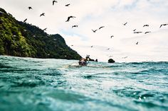 a person in the water with birds flying above