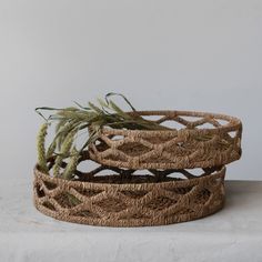 three woven baskets with plants in them