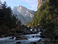 a river flowing through a lush green forest filled with rocks and pine covered mountains in the background