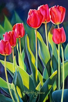 three red tulips with green leaves in the background