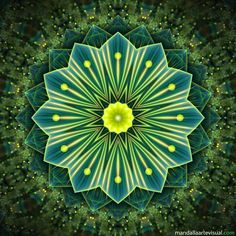 an abstract green and yellow flower with lots of dots in the center on a black background