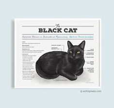 a black cat sitting on top of a table next to an information sheet with instructions