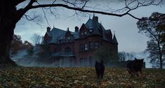 two dogs are running in front of a large house on a foggy day with trees and leaves covering the ground