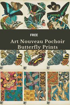 the front cover of an art nouveau poster with butterflies and moths in different colors on it