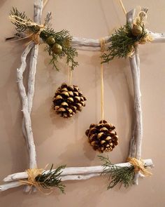 some pine cones are hanging from branches on the wall