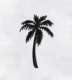 a black and white photo of a palm tree