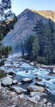 a river running through a forest filled with lots of rocks and pine tree's