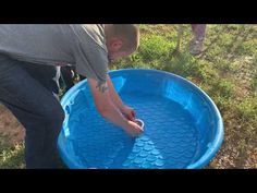 DIY Easy Drain Duck Pool - YouTube Plastic Kids Pool, Duck House Diy, Duck Waterer, Duck Feeder, Duck Enclosure, Duck Pool, Duck Pens, Backyard Ducks, Duck Coop