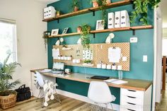 a home office with green walls and wooden shelves filled with potted plants on top of desks