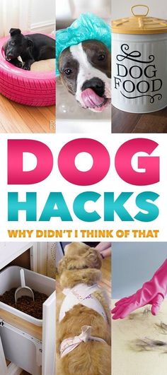 dog hacks why didn't i think of that