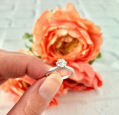 a person holding a ring in front of a flower