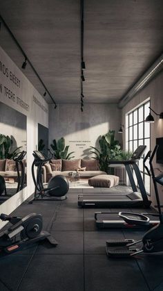 an exercise room with treadmills, mirrors and plants on the wall in front of it